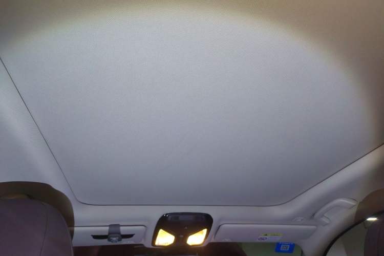 Used BMW 3 Series 2021 Restyled 325Li M Sport Package Headliner
