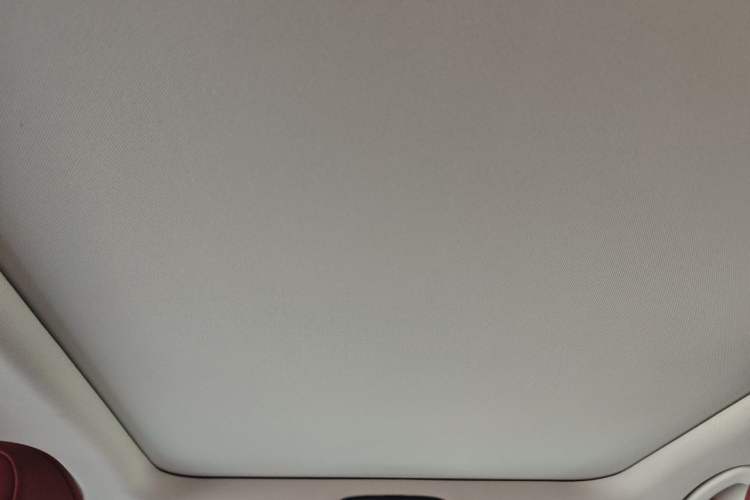 Used BMW 3 Series 2021 Second Facelift 325Li M Sport Package Headliner