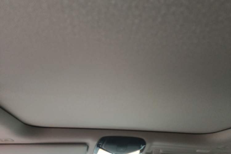 Used BMW 3 Series 2021 Facelifted 320Li M Sport Package Headliner