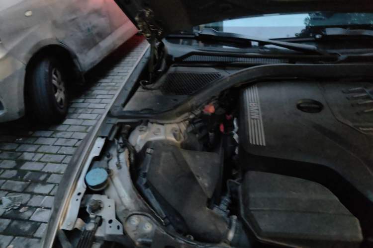 Used BMW 3 Series 2021 320Li M Sport Package Engine Bay Right