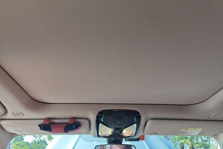 Used BMW 3 Series 2021 320Li M Sport Package Headliner