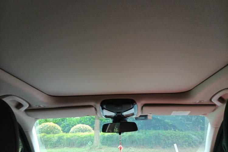 Used BMW 3 Series 2021 Second Facelift 325Li M Sport Package Headliner