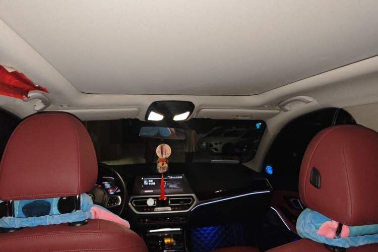 Used BMW 3 Series 2021 Second Facelift 325Li M Sport Package Headliner