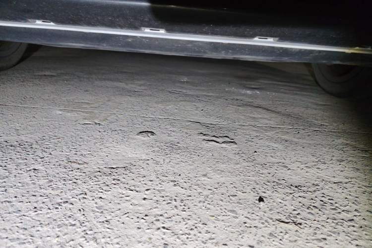 Used BMW 3 Series 2021 320i Sport Package Chassis Front