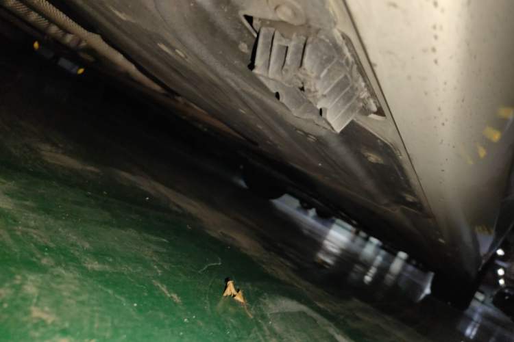 Used BMW 3 Series 2021 320Li M Sport Package Chassis Rear Right