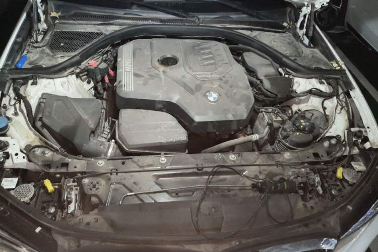 Used BMW 3 Series 2021 Second Facelift 320Li M Sport Package Engine Bay