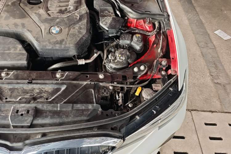 Used BMW 3 Series 2021 320Li M Sport Package Engine Bay Left