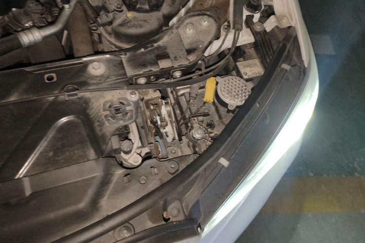 Used BMW 3 Series 2021 Facelifted 320Li M Sport Package Engine Bay Left