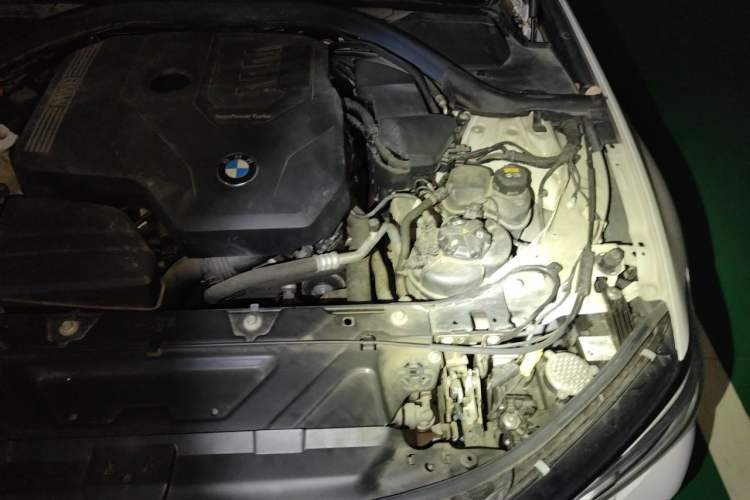 Used BMW 3 Series 2021 320Li M Sport Package Engine Bay Left