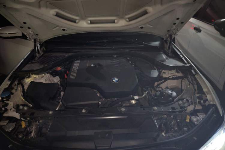 Used BMW 3 Series 2021 Second Facelift 320Li M Sport Package Engine Bay