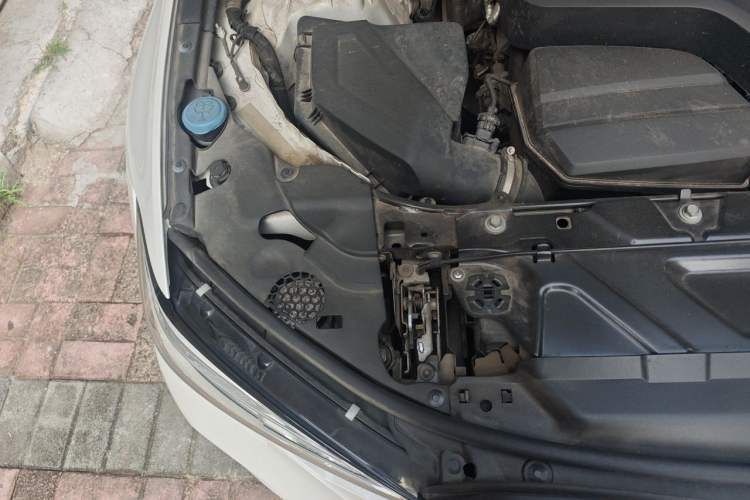 Used BMW 3 Series 2021 Facelifted 320Li M Sport Package Engine Bay Right