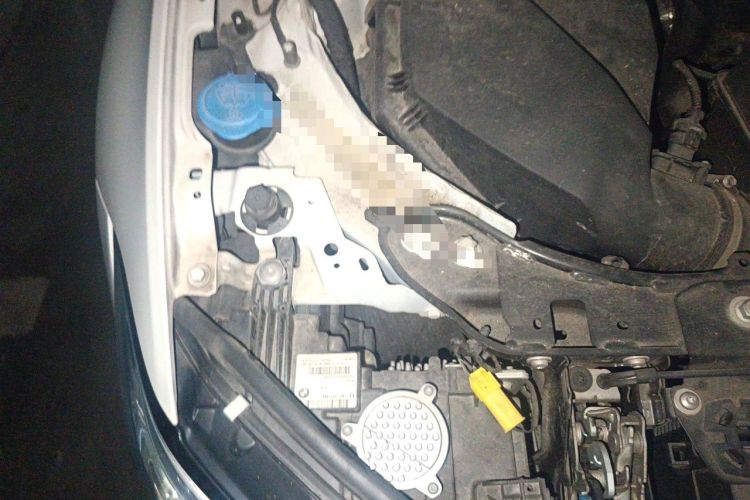 Used BMW 3 Series 2021 320i Sport Package Engine Bay Right