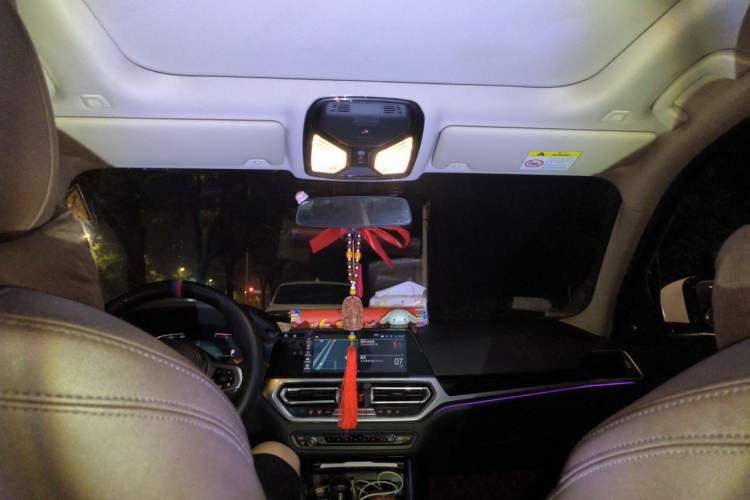 Used BMW 3 Series 2021 320Li M Sport Package Headliner
