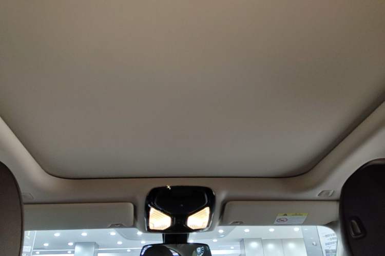 Used BMW 3 Series 2021 Second Facelift 320Li M Sport Package Headliner