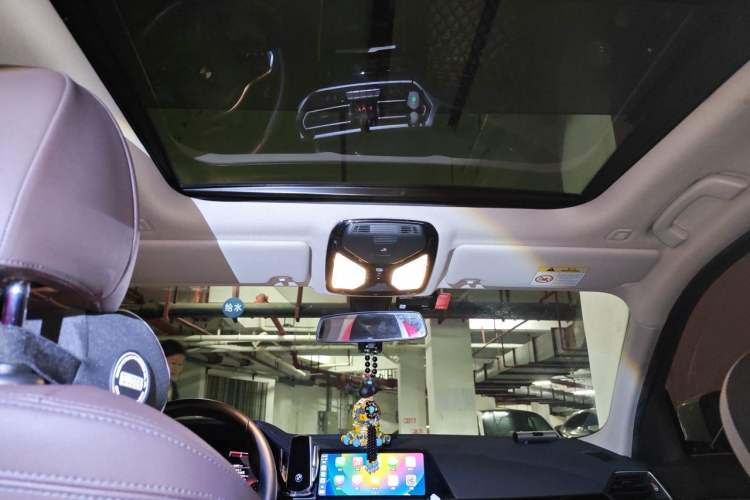 Used BMW 3 Series 2021 320Li M Sport Package Headliner