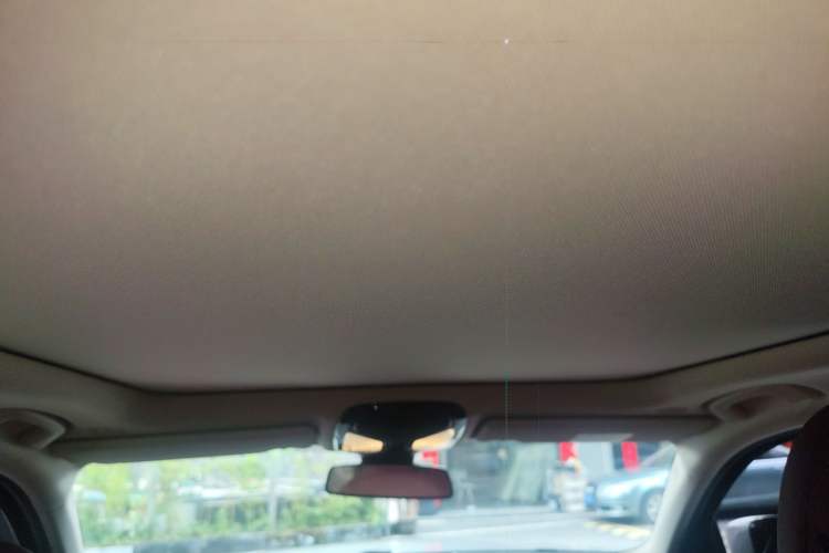 Used BMW 3 Series 2021 320Li M Sport Package Headliner