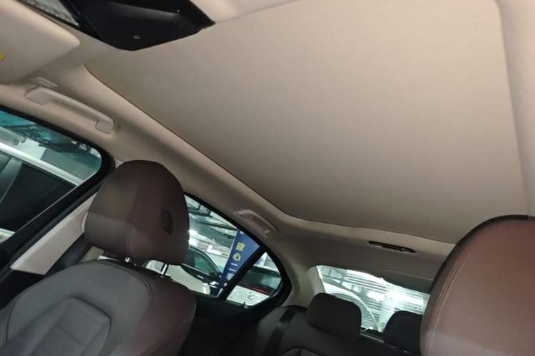 Used BMW 3 Series 2021 Facelifted 320Li M Sport Package Headliner