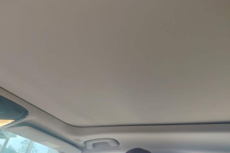 Used BMW 3 Series 2021 Second Facelift 320Li M Sport Package Headliner