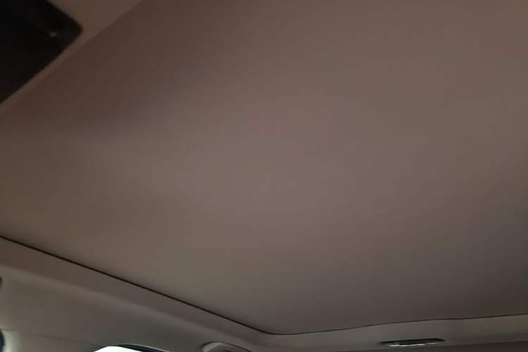 Used BMW 3 Series 2021 Facelifted 320Li M Sport Package Headliner