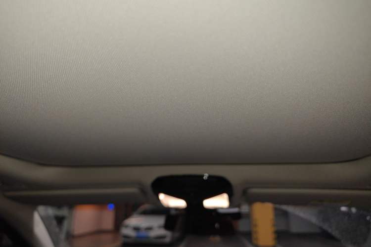 Used BMW 3 Series 2021 Second Facelift 325Li M Sport Package Headliner