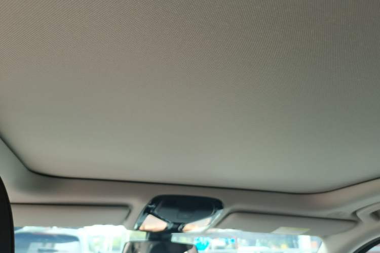 Used BMW 3 Series 2021 320Li M Sport Package Headliner