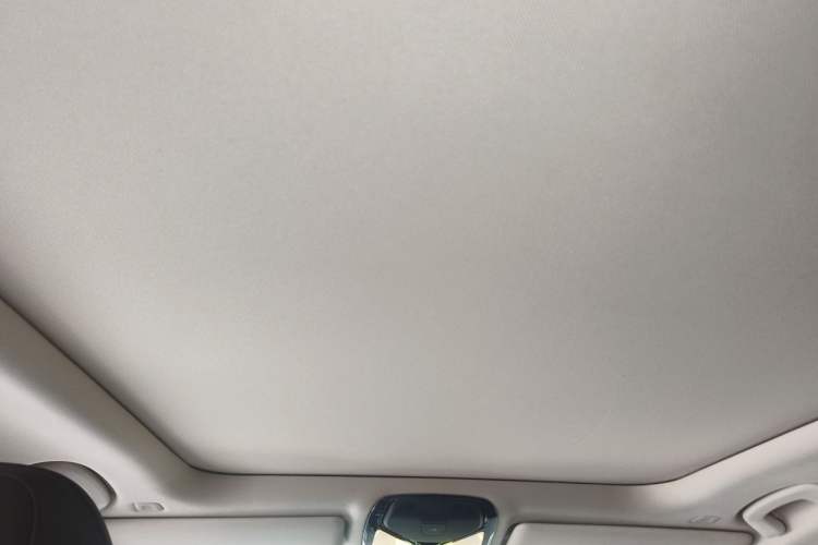 Used BMW 3 Series 2021 Second Facelift 325Li M Sport Package Headliner