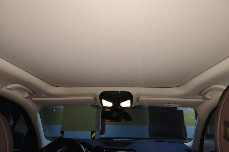 Used BMW 3 Series 2021 Facelifted 325Li M Sport Night Edition Package Headliner