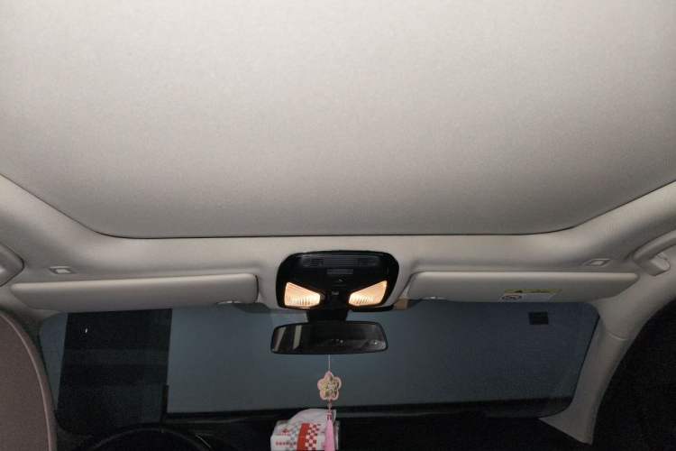 Used BMW 3 Series 2021 Second Facelift 320Li M Sport Package Headliner