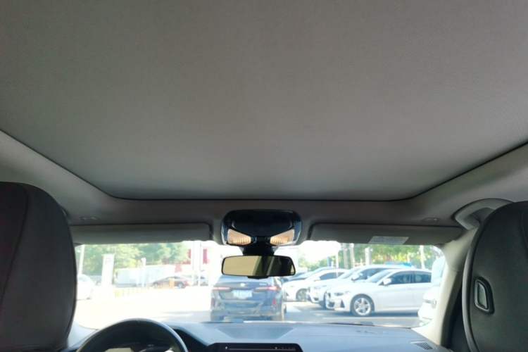 Used BMW 3 Series 2021 325Li M Sport Package Headliner