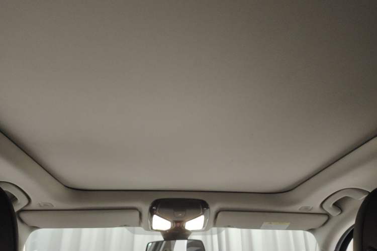 Used BMW 3 Series 2021 Second Facelift 325Li M Sport Package Headliner