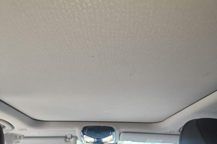 Used BMW 3 Series 2021 320Li M Sport Package Headliner