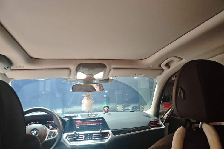 Used BMW 3 Series 2021 325Li M Sport Package Headliner