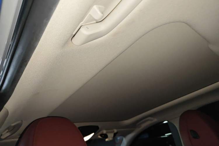 Used BMW 3 Series 2021 325Li xDrive M Sport Package Headliner