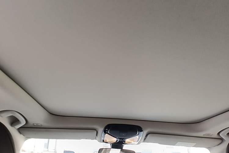 Used BMW 3 Series 2021 Second Facelift 320Li M Sport Package Headliner