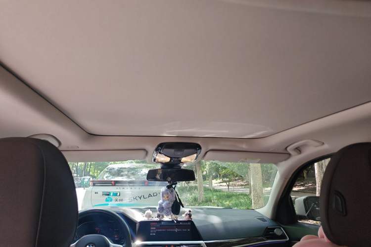 Used BMW 3 Series 2021 Restyled 325Li M Sport Package Headliner