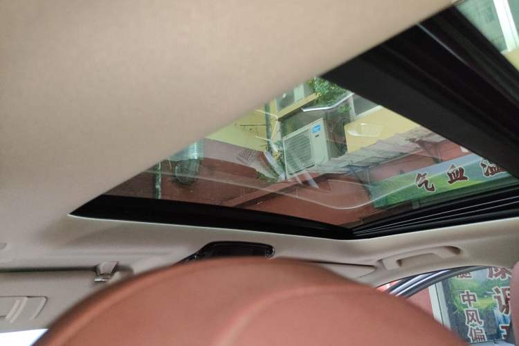 Used BMW 3 Series 2021 Second Facelift 320Li M Sport Package Headliner