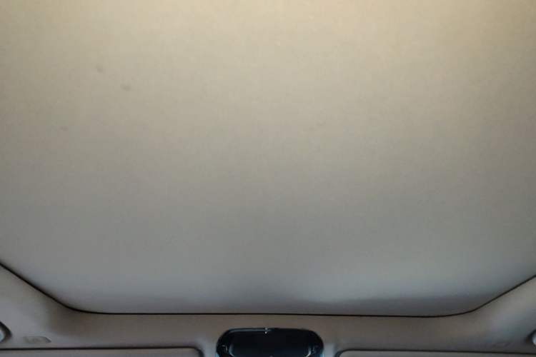 Used BMW 3 Series 2021 Facelifted 325Li M Sport Night Edition Package Headliner