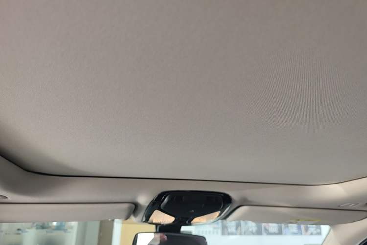 Used BMW 3 Series 2021 Facelifted 320Li M Sport Package Headliner
