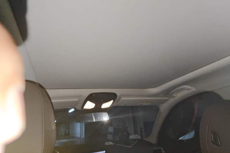 Used BMW 3 Series 2021 320Li M Sport Package Headliner