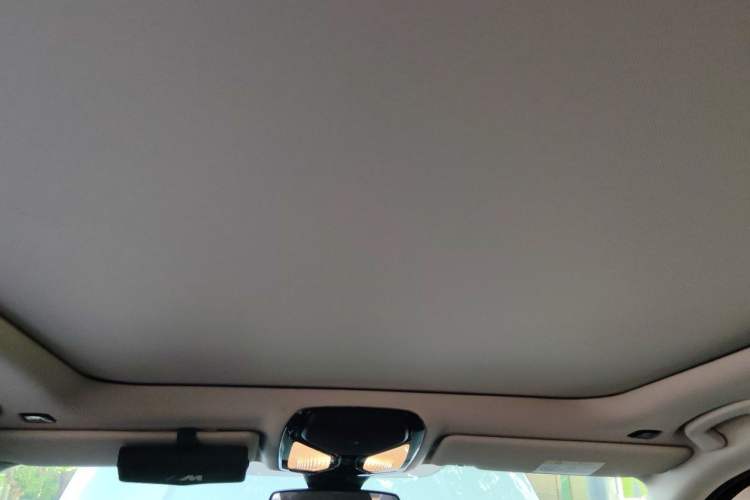 Used BMW 3 Series 2021 325Li xDrive M Sport Package Headliner