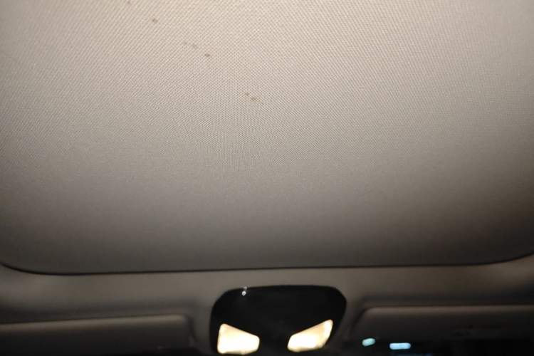 Used BMW 3 Series 2021 Facelifted 320Li M Sport Package Headliner