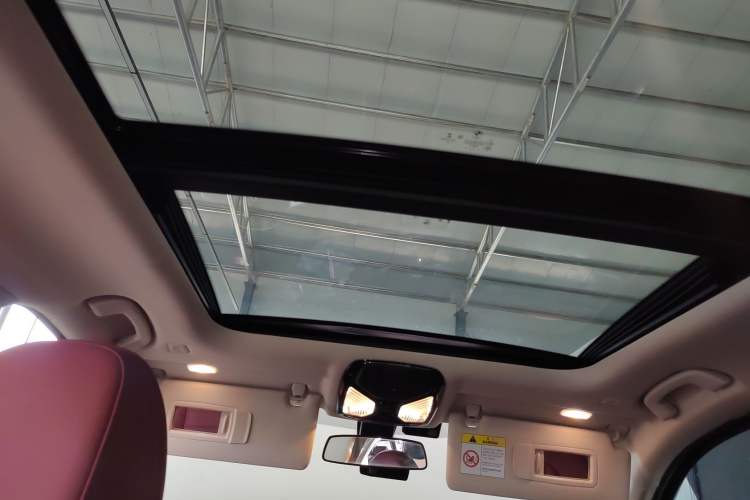 Used BMW 3 Series 2021 Facelifted 320Li M Sport Package Headliner
