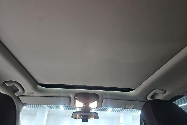 Used BMW 3 Series 2021 Facelifted 320Li M Sport Package Headliner