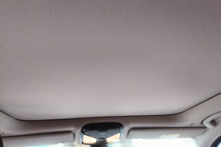 Used BMW 3 Series 2021 Second Facelift 325Li M Sport Package Headliner