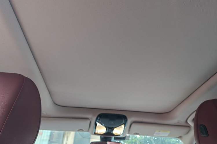 Used BMW 3 Series 2021 Facelifted 320Li M Sport Package Headliner