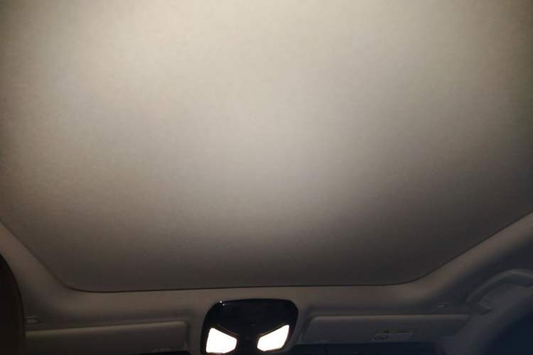 Used BMW 3 Series 2021 Second Facelift 320Li M Sport Package Headliner