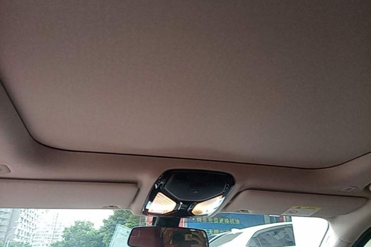 Used BMW 3 Series 2021 Facelifted 320Li M Sport Package Headliner