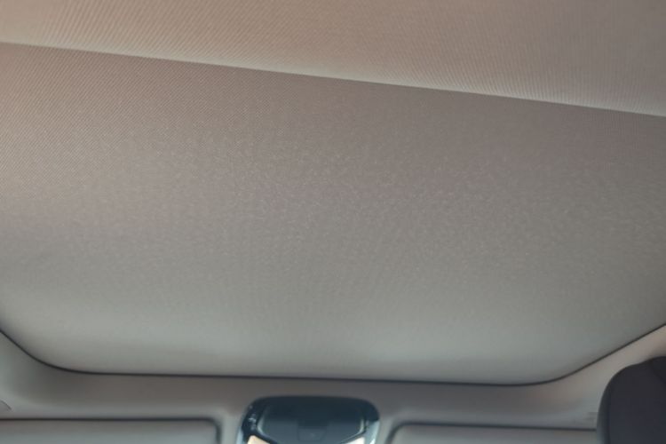 Used BMW 3 Series 2021 320i Sport Package Headliner