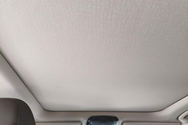 Used BMW 3 Series 2021 320Li M Sport Package Headliner