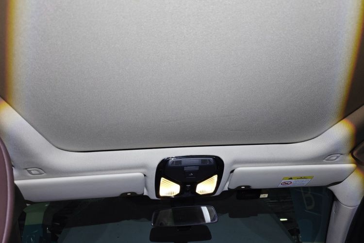 Used BMW 3 Series 2021 Facelifted 320Li M Sport Package Headliner